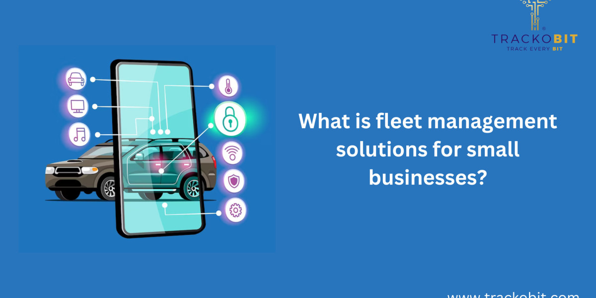 What is fleet management solutions for small businesses?