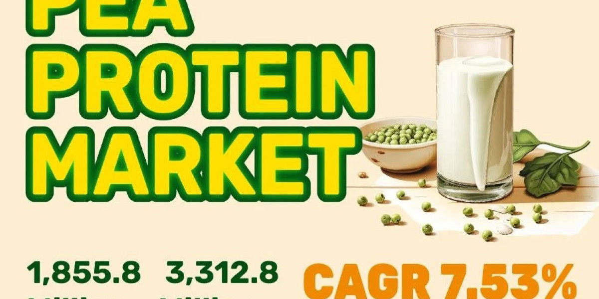 Pea Protein Market Size Analysis, Key Trends, Growth Opportunities, Challenges and Key Players by 2031